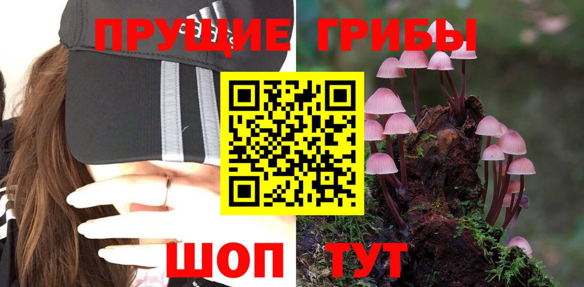 Кашира  Галлюциногенные грибы мицелий  Вход с VPN  Псилоцибиновые грибы Magic Shrooms 