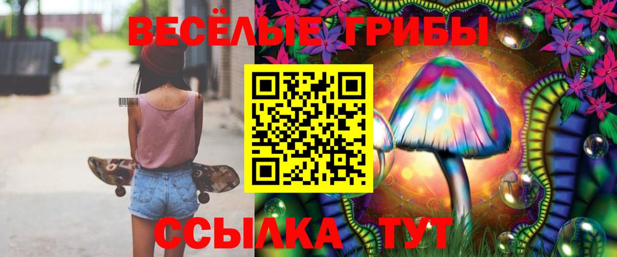 Псилоцибиновые грибы мухоморы Кашира